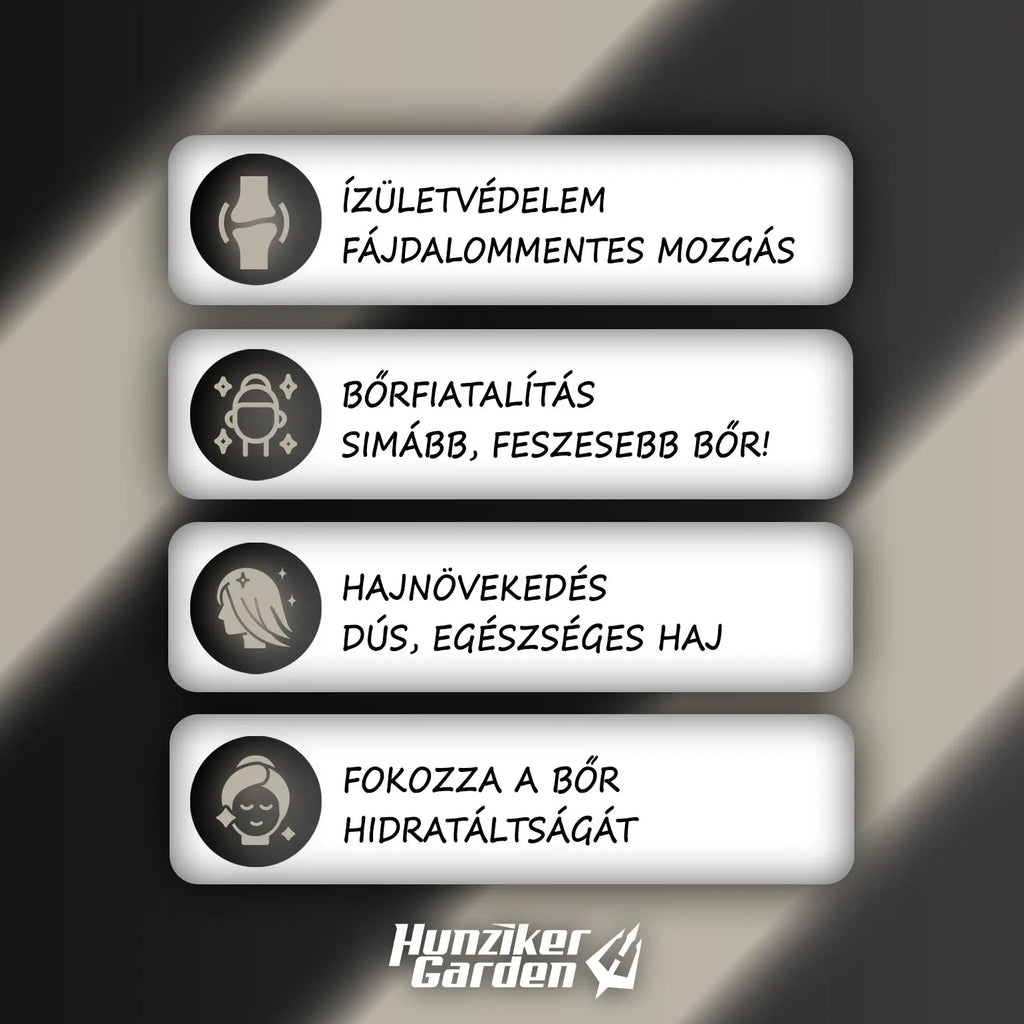 Kollagén 2