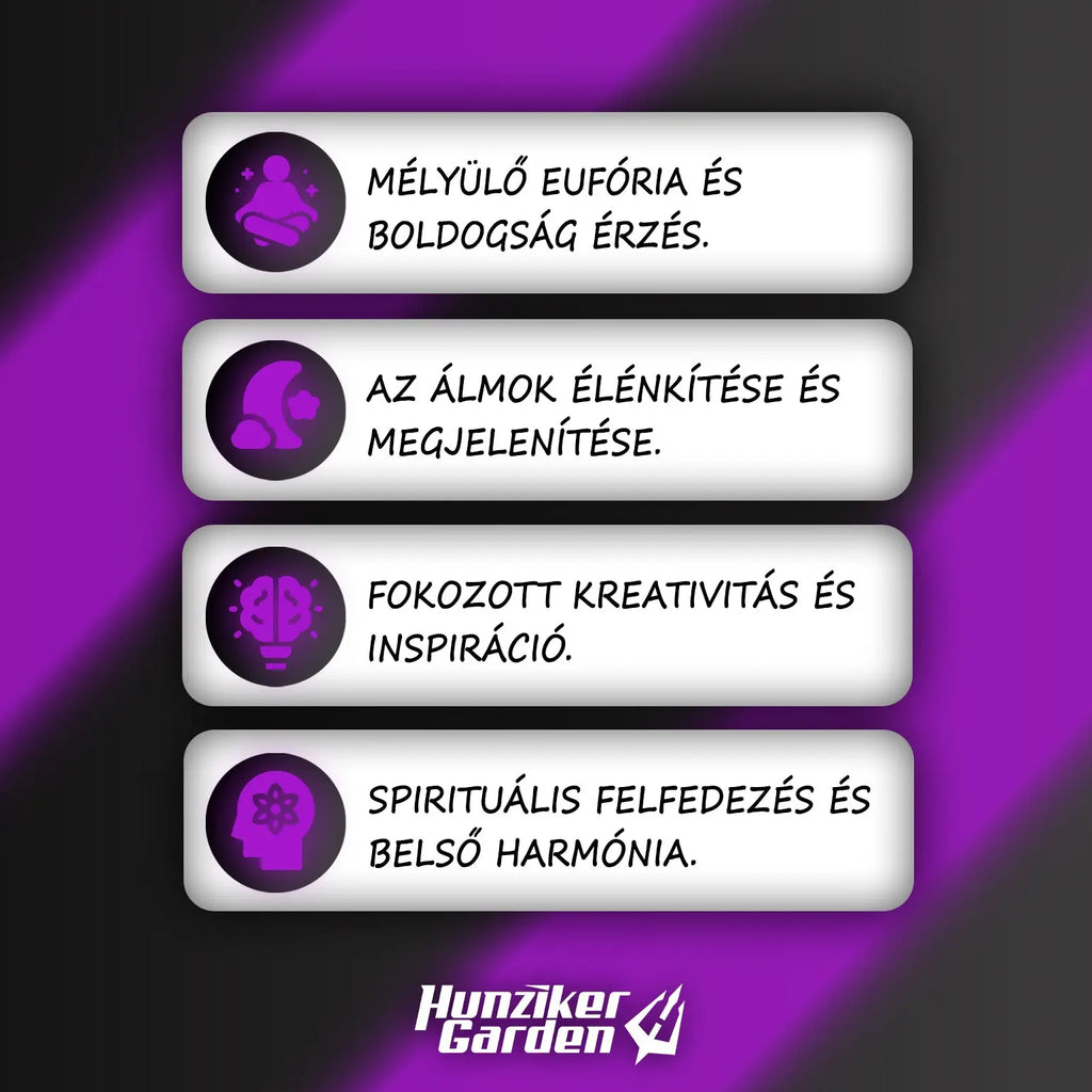 ÁbrándVirág 2
