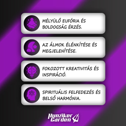 Traumblume